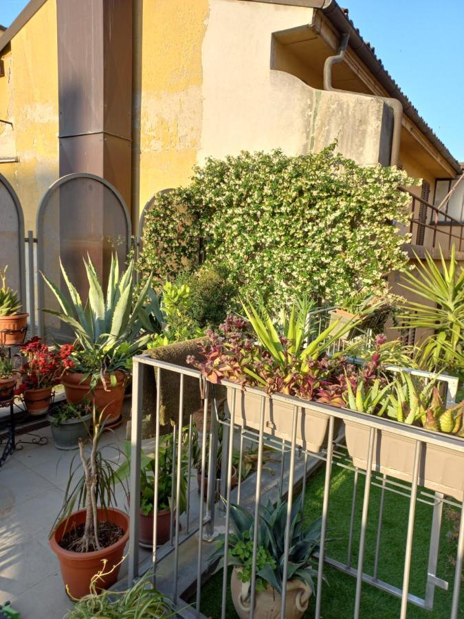 The Jasmine Terrace Retreat * Bologna