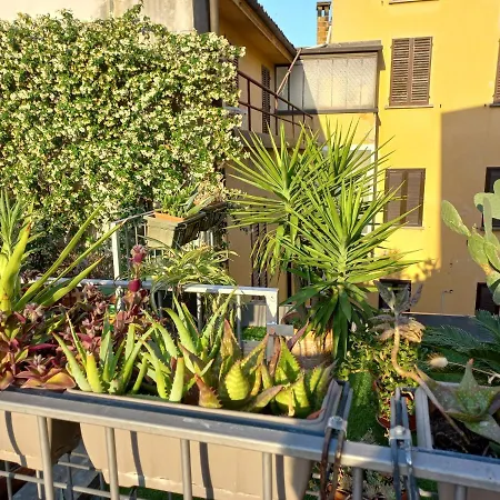 Ferienwohnung The Jasmine Terrace Retreat Bologna Exterior foto