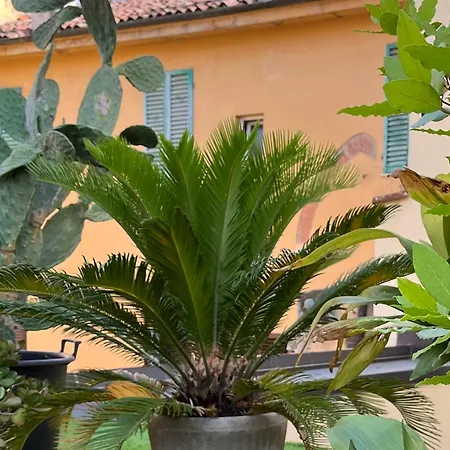 Ferienwohnung The Jasmine Terrace Retreat Bologna Exterior foto