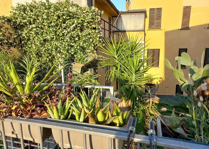 The Jasmine Terrace Retreat