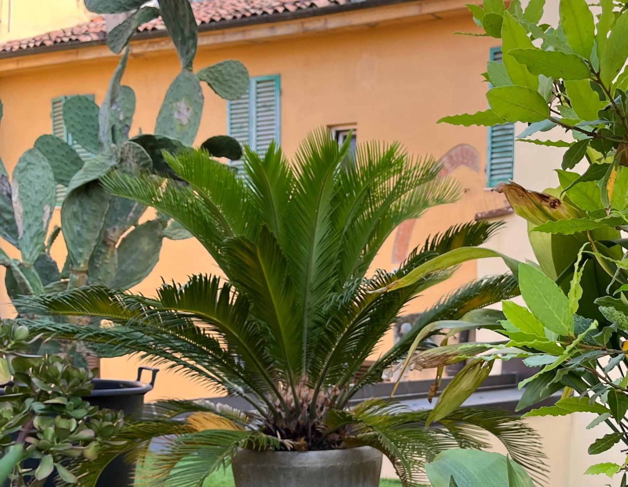 The Jasmine Terrace Retreat Bologna